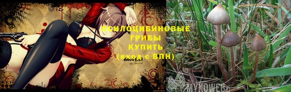 не бодяженный Алексин