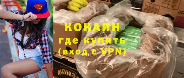 винт Алзамай