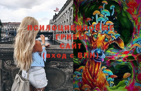 винт Алзамай