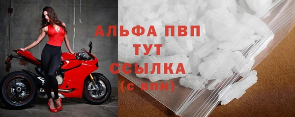 винт Алзамай